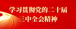 学习贯彻党的二十届三中全会精神