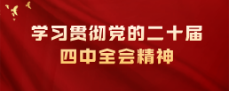 学习贯彻党的二十届四中全会精神